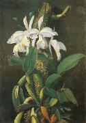 unknow artist Orquideas painting